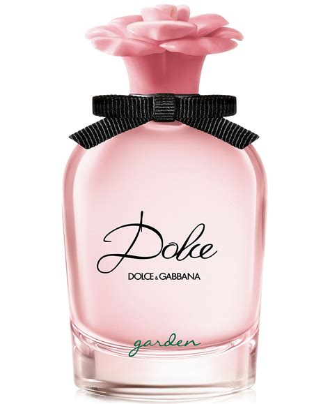 women's dolce and gabbana